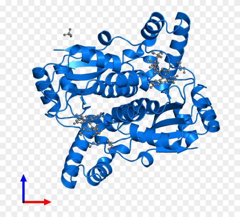 <div Class='caption-body'>pdb Entry 3gag Contains 2 - <div Class='caption-body'>pdb Entry 3gag Contains 2 #1557619