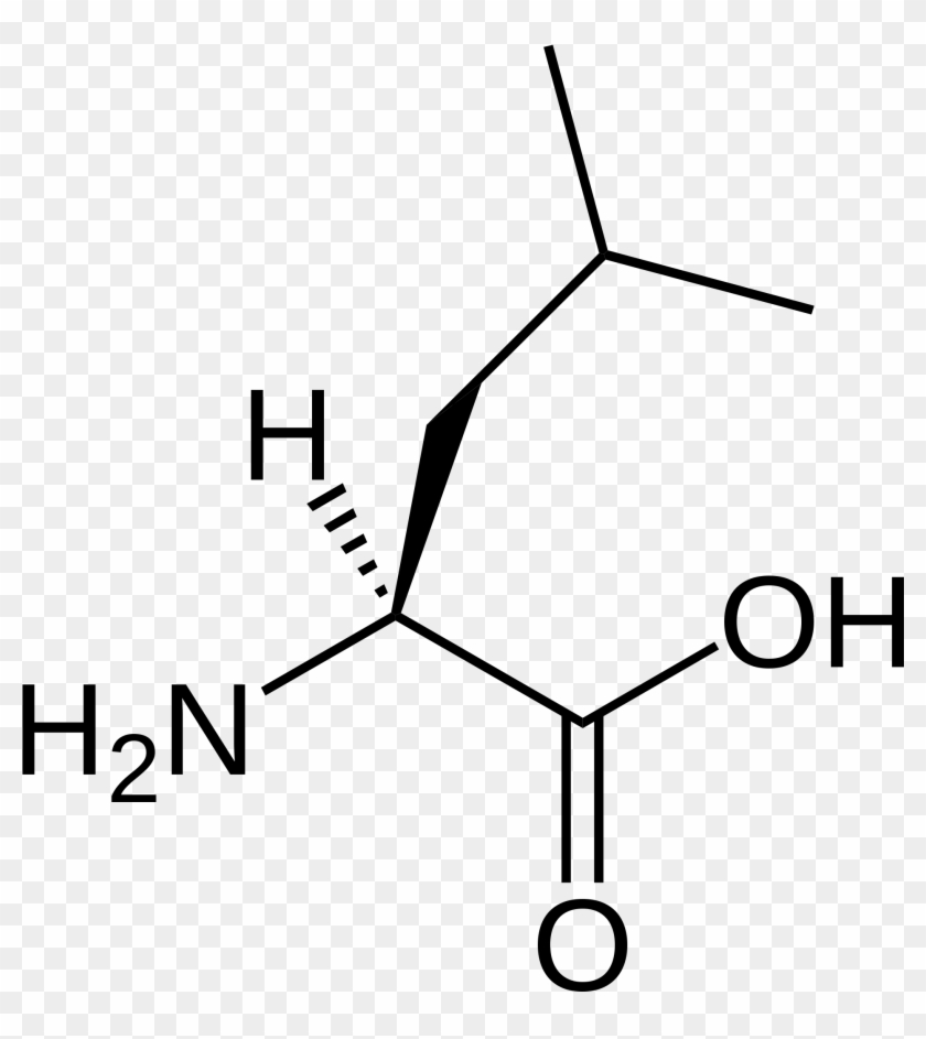 A Chemical Structure Diagram Of Leucine - A Chemical Structure Diagram Of Leucine #1558453