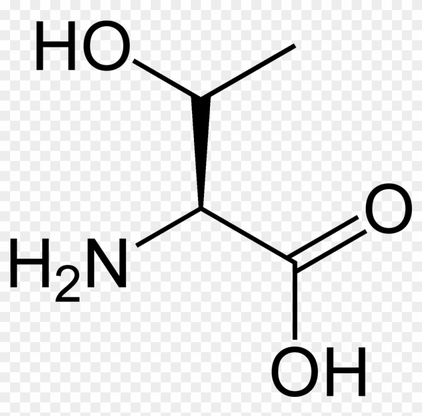 Threonine - Threonine #1558481