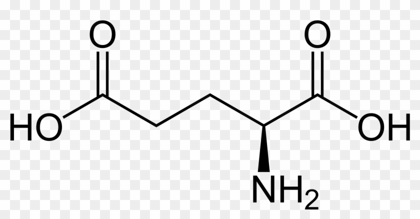 Glutamic Acid - Glutamic Acid #1558511