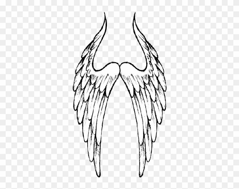 Angel Wings Hd Image 6668 Transparentpng - Angel Wings Hd Image 6668 ...