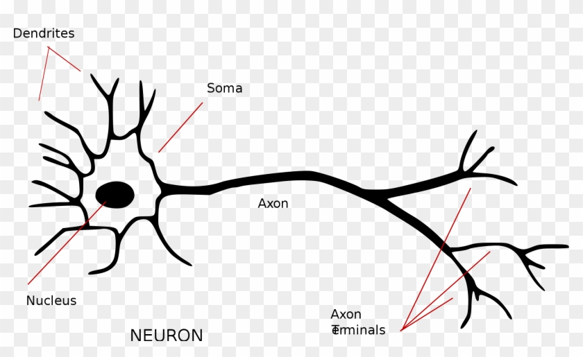 Perceptrons The First Neural - Perceptrons The First Neural - Free ...