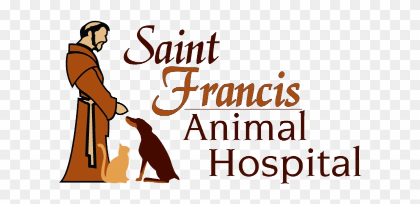 Saint Francis Hospital Little - Saint Francis Hospital Little #1568236