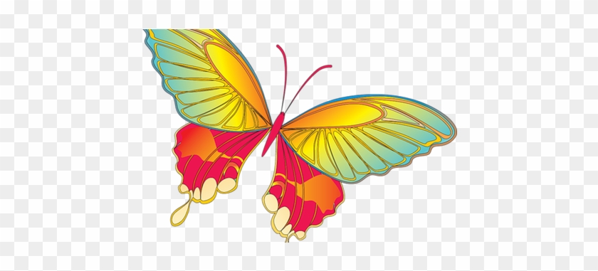 Microsoft Clipart Butterfly - Microsoft Clipart Butterfly #1569890