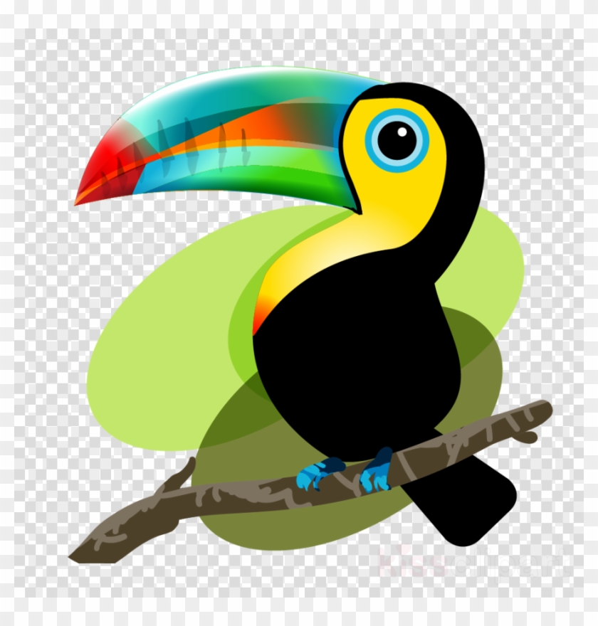 Tucan Animado Png Clipart Toucan Bird Clip Art Tucan Animado Png Clipart Toucan Bird Clip Art Free Transparent Png Clipart Images Download