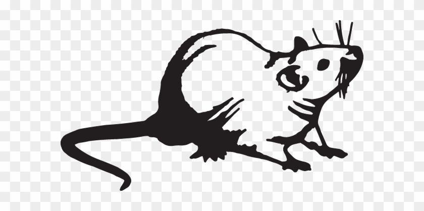 Rat Decal Png Rat Decal - Rat Decal Png Rat Decal #1571417