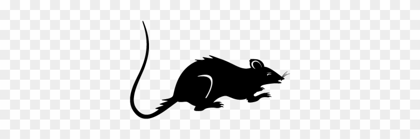 Rat Decal Png Rat Decal - Rat Decal Png Rat Decal #1571422