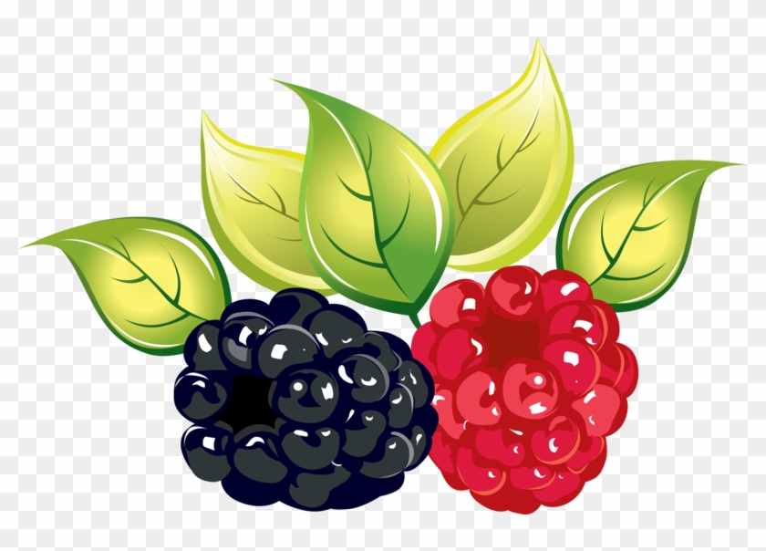 Rasberry Clipart - Rasberry Clipart #1572077