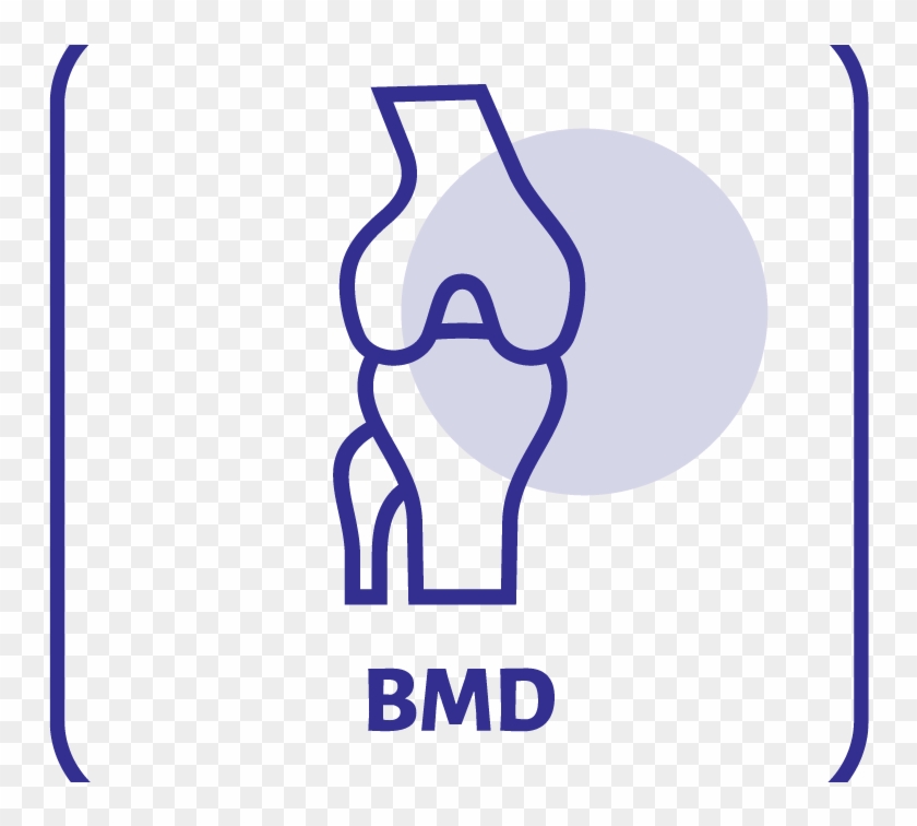 Bone Mineral Densitometry / Dexa Imaging - Bone Mineral Densitometry / Dexa Imaging #1572835