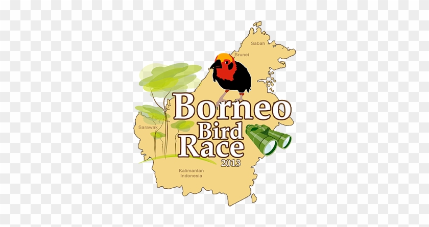 1st Borneo Bird Race - 1st Borneo Bird Race #1576587