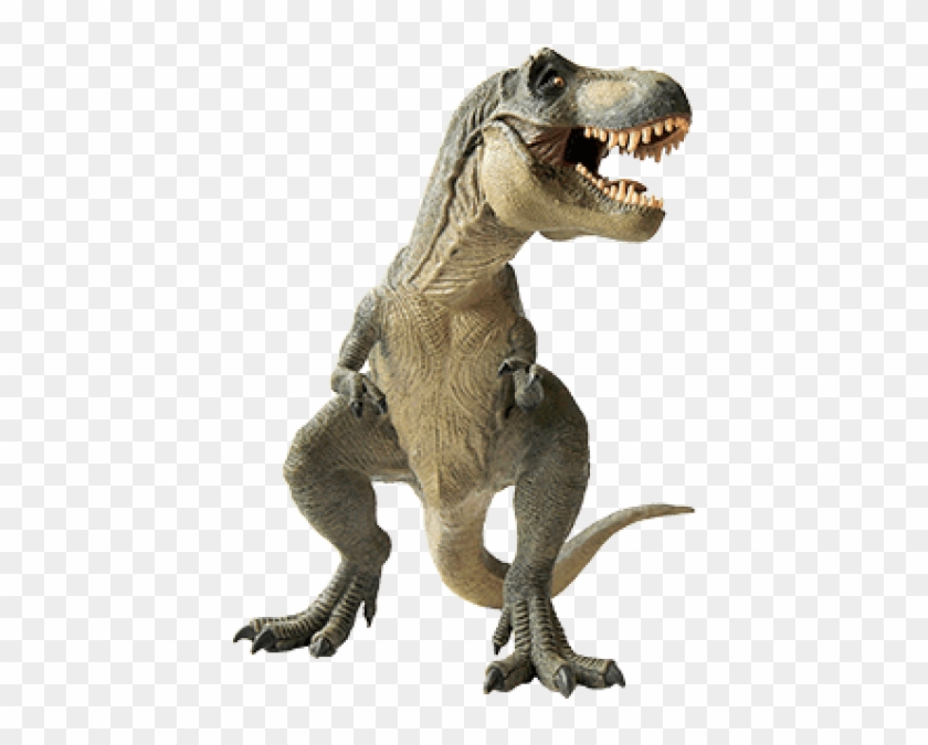 Download Dinosaur Standing Left Png Images Background - Download Dinosaur Standing Left Png Images Background #1582924