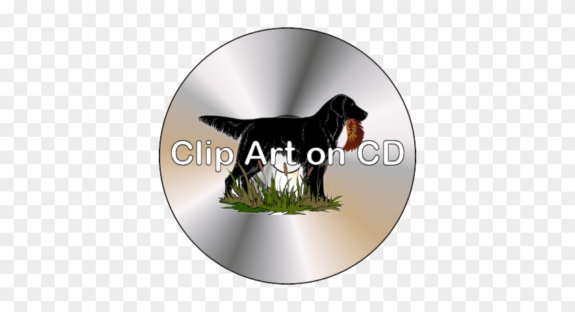 Clip Art On Cd - Clip Art On Cd #1583907