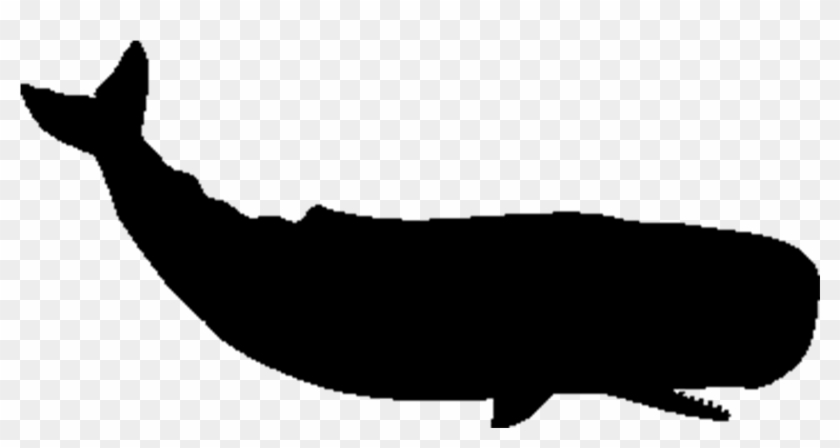 Whale Clipart Shape - Whale Clipart Shape #1584632