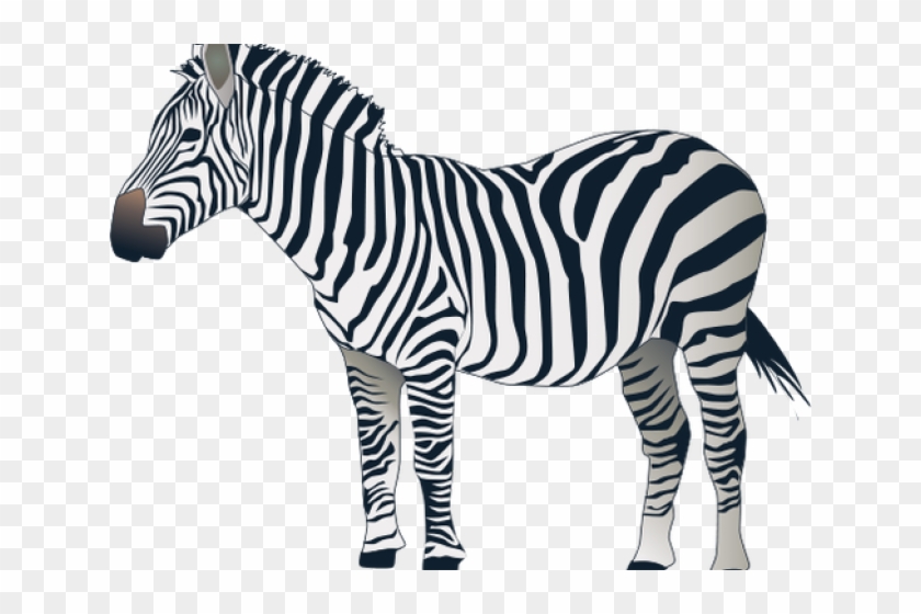 Drawn Zebra Zabra - Drawn Zebra Zabra #1585957