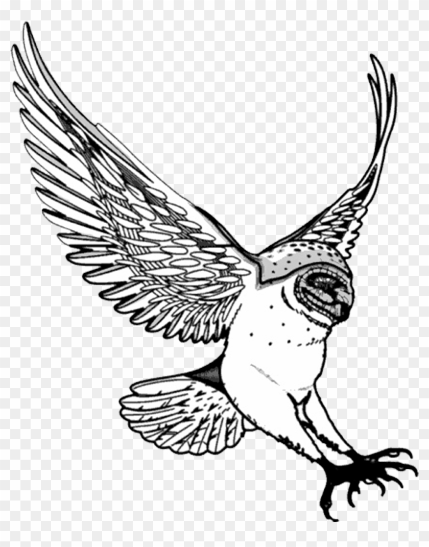 Swooping Owl Clip Art - Swooping Owl Clip Art #1586713