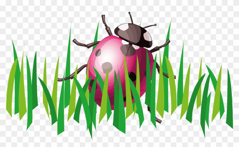 Grass Clipart Ladybug - Grass Clipart Ladybug #1586741