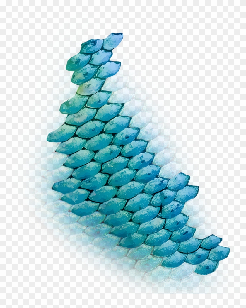 Fish Scales - Illustration #1588931