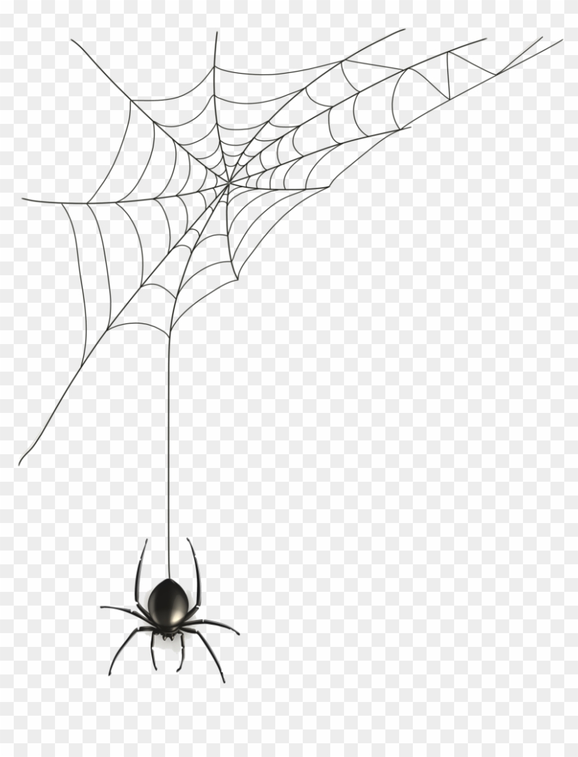 848 X 1024 11 - Spider Home Png #1592022