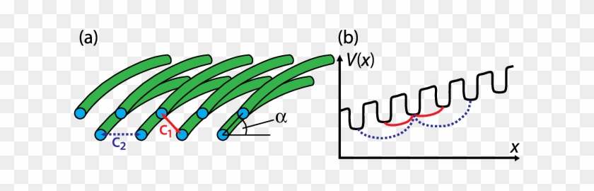 (a) A Sketch Of The Zigzag Waveguide Lattice - (a) A Sketch Of The Zigzag Waveguide Lattice #1593439