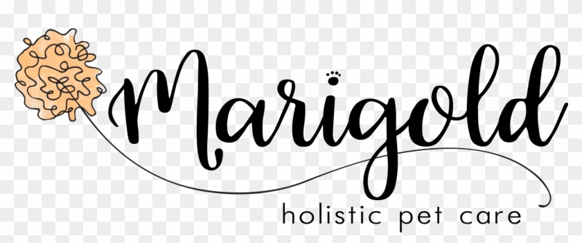 Marigold Holistic Pet Care For Transparent Background - Calligraphy #1594033