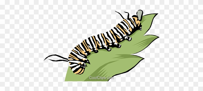 Caterpillar Royalty Free Vector Clip Art Illustration - Chenille #1594060