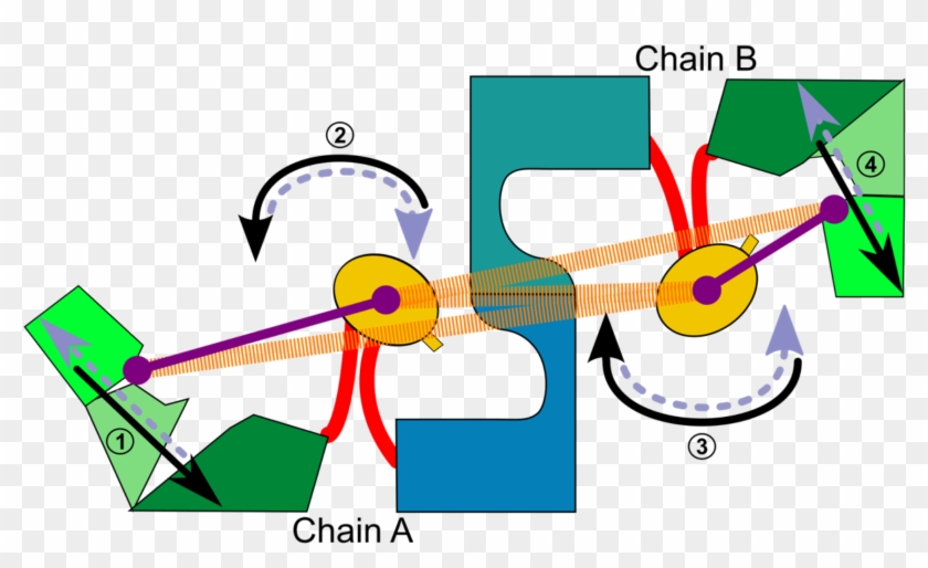 Soluble Proteins - Soluble Proteins #1600687