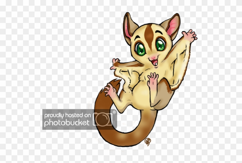 Glidergossip Hello I M New Here Are - Sugar Glider Png Format #1602265