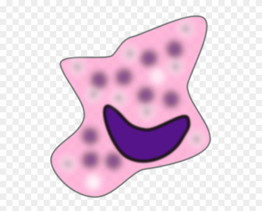 Macrophage Clip Art #1602444