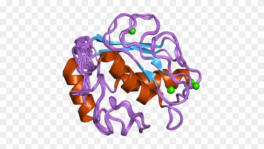 Pdb 2poj Ebi - Illustration #1602452