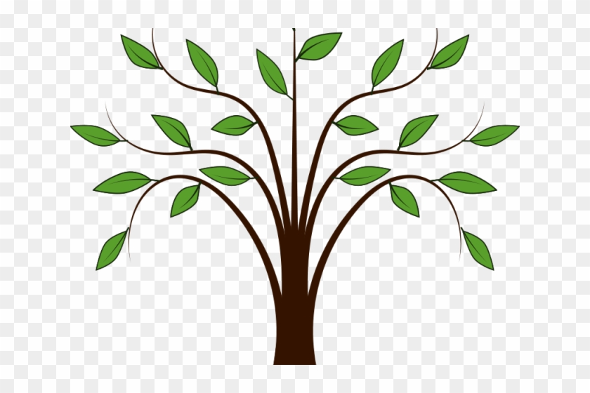 Heaven Clipart Mustard Tree - Tree With Leaves Cartoon #1602720