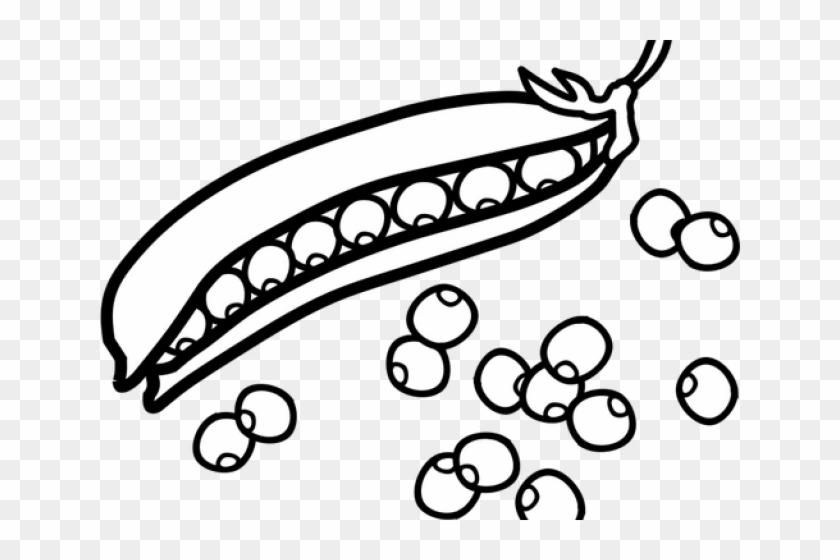 Pea Clipart Outline - Peas Black And White Clip Art #1603692