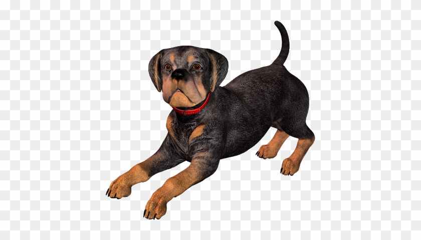 Free Rottweiler Clip Art - German Pinscher #1606604