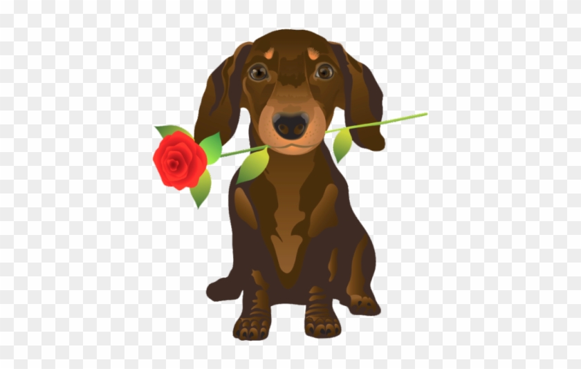 Dachshund Clube - Valentines Day Quotes For Dog #1609246