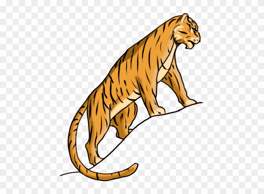 A Sketch of a Tiger, Half White, Half Bengal. Stock Illustration -  Illustration of pastel, parties: 154403514