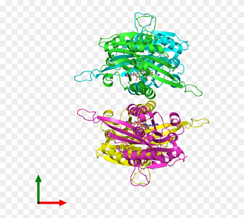 Glycine Structure Protein Chain - Illustration #1614812