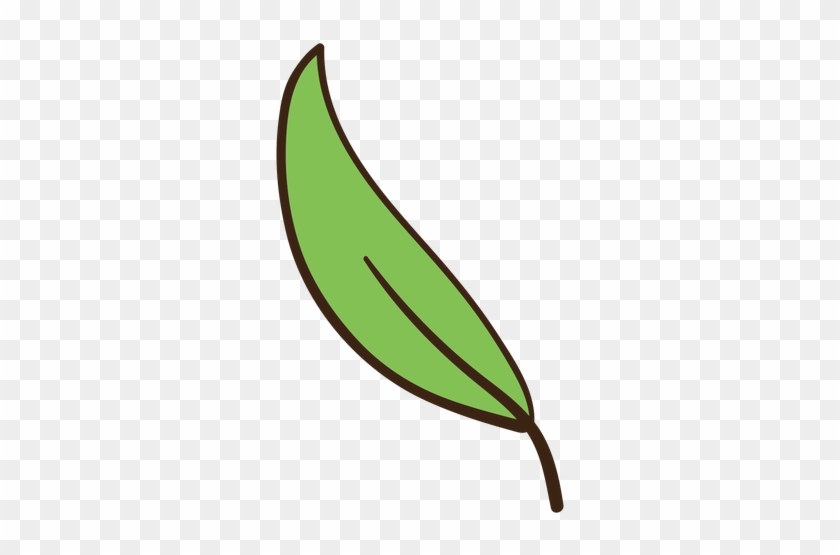 512 X 512 3 - Hoja De Arbol Png #1624523