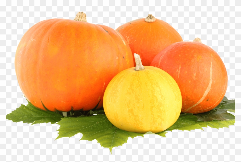 Group Pumpkin Clip Art Transparent Background - Pumpkins Png #1629437