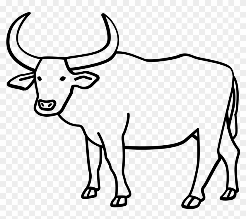 How to Draw a Realistic Buffalo  5 Easy Steps