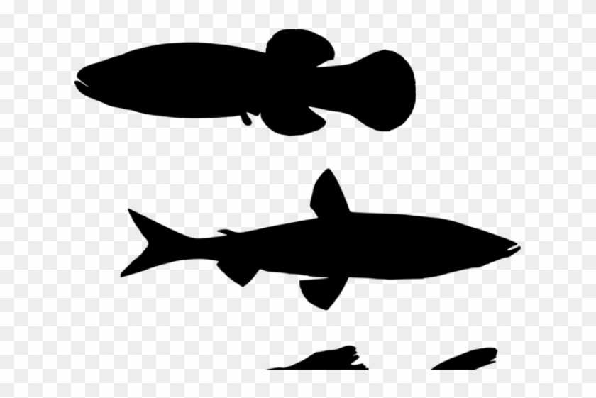 Fins Clipart Silhouette - Png Shoal Of Fish Silhouette - Full Size PNG ...