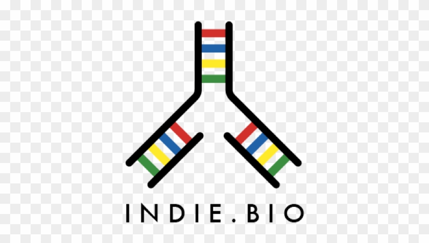 Current Lab Space Used By The Ccl, One Of Their Future - Indie Bio Logo Png #251713