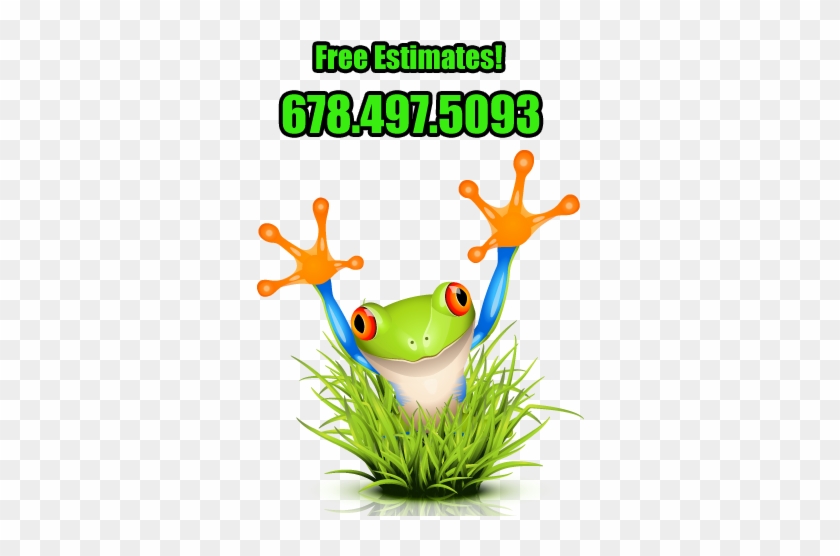 Free Lawn Care Estimates In Acworth, Ga - Frog Vector Free #253048