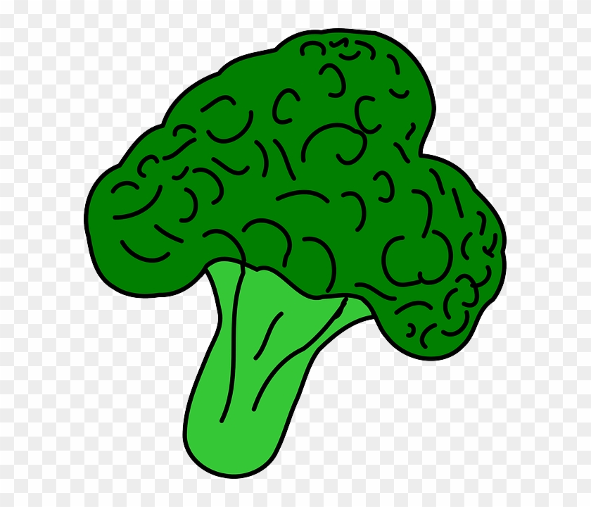 Free To Use Amp Public Domain Vegetables Clip Art - Broccoli Clip Art #253396