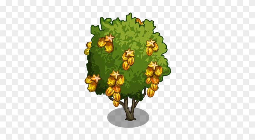 Golden Starfruit Tree2-icon - Illustration #253783