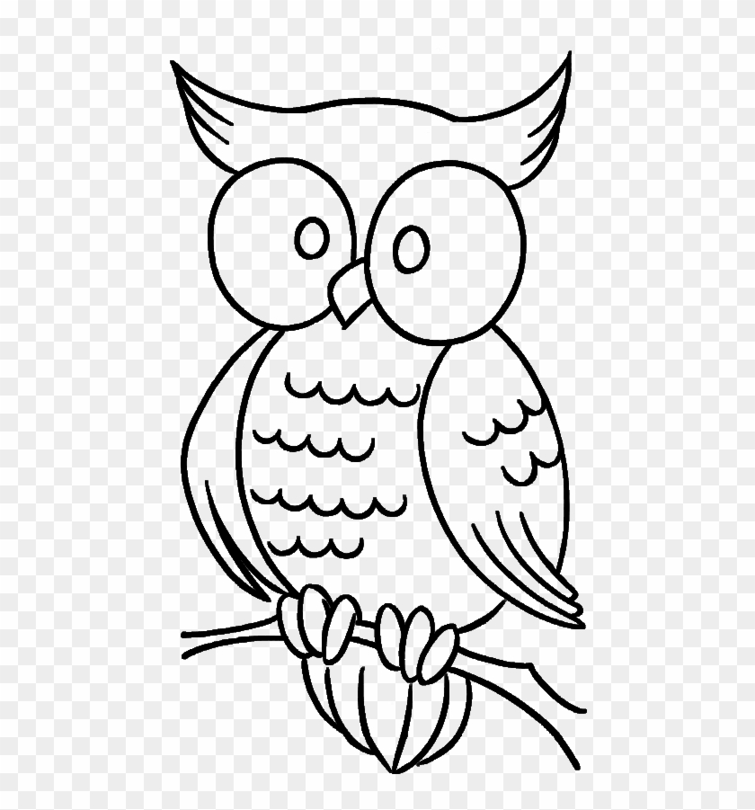 cute owl with bulging eyes coloring pages  simple owl