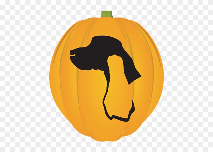 Sporting Breed Pumpkin - Jack-o'-lantern #1634146