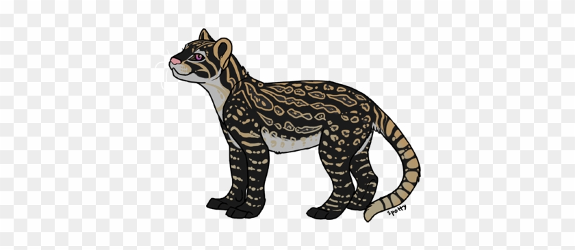 Clip Art Freeuse Stock View Topic My Fursona Nyx Posting - Ocelot Transparent #1634675