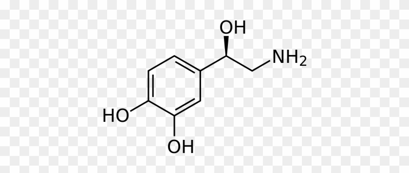 Norepinephrine Structure - R Epinephrine #1640205