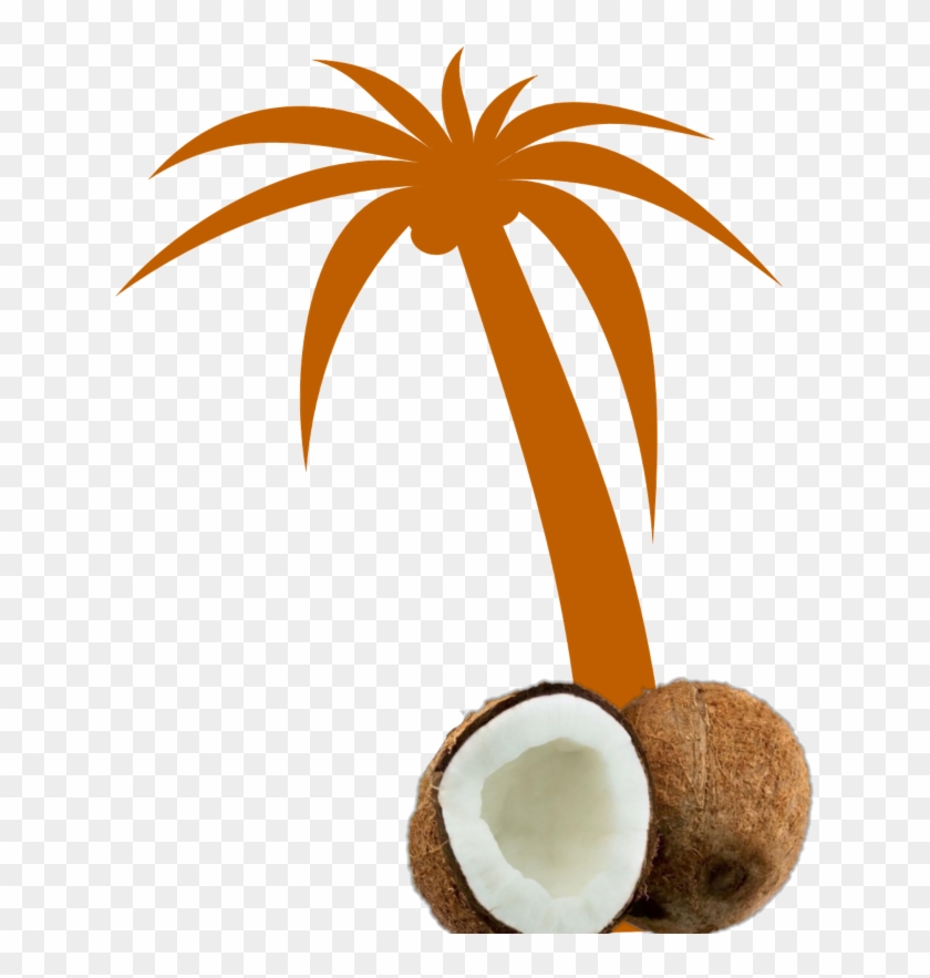 Mq Orange Palmtree Palm Coconut - Palm Tree Clip Art #1645353