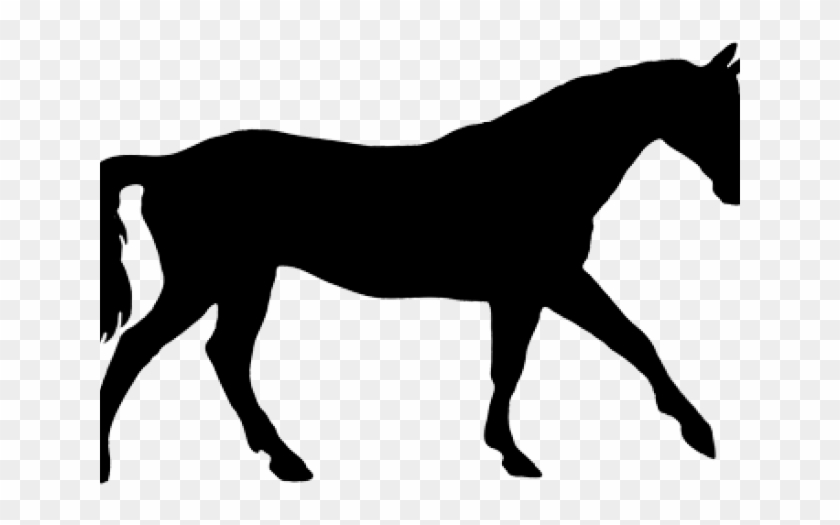 Horse Silhouettes - Horse Silhouette #1645732