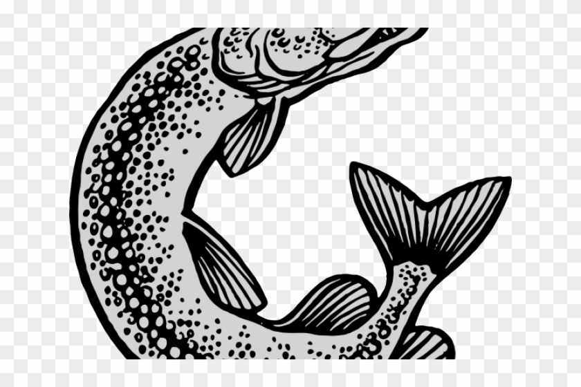 Northern Pike Clipart Jumping - Wappen Gimte #1646766